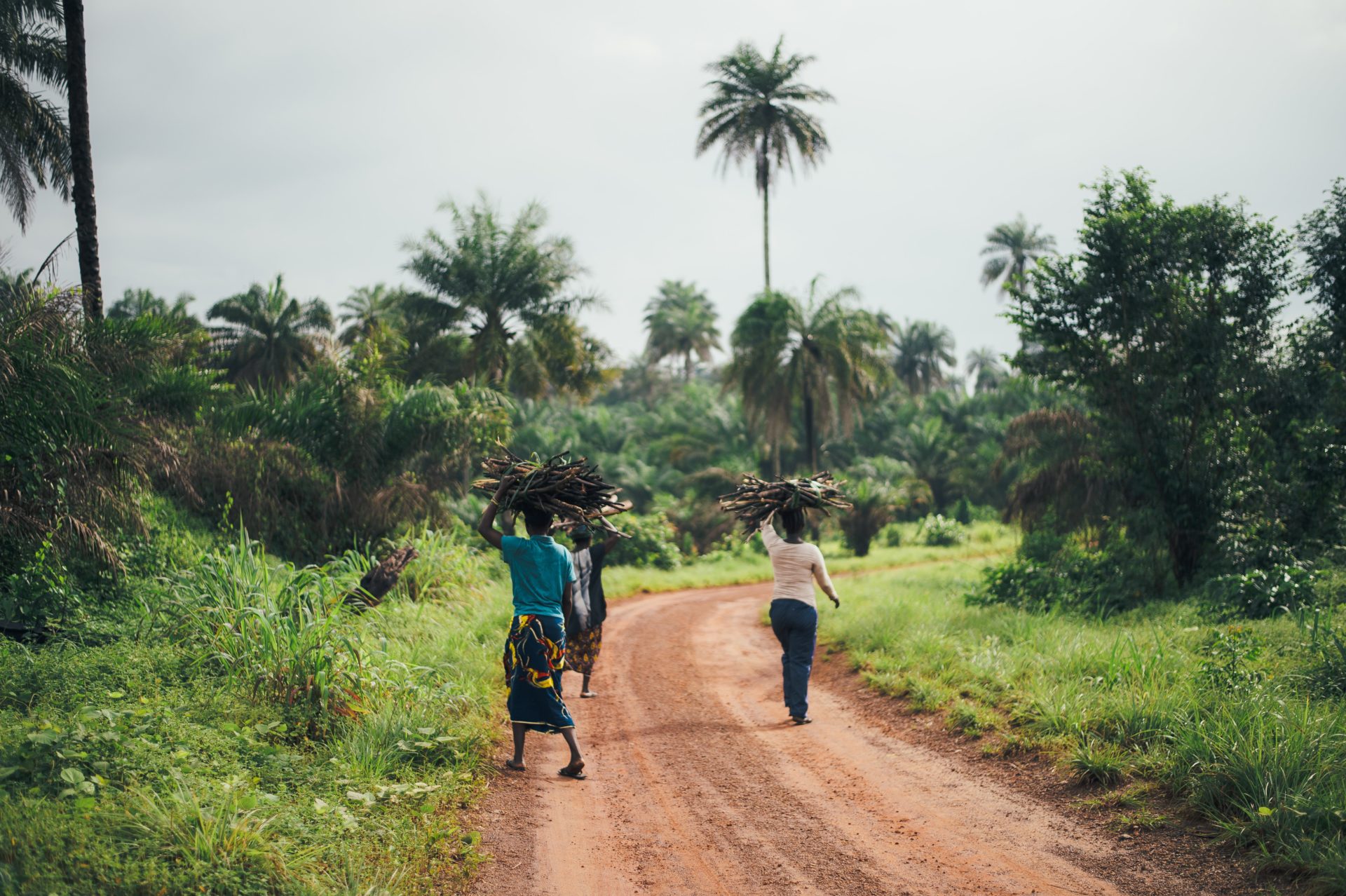 https://mx4.horasis.org/wp-content/uploads/annie-spratt-wtk4VH8EU20-unsplash-1.jpg